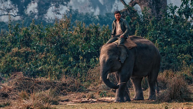 Nepal: City Lights, Wild Heights- 6 N/ 7D