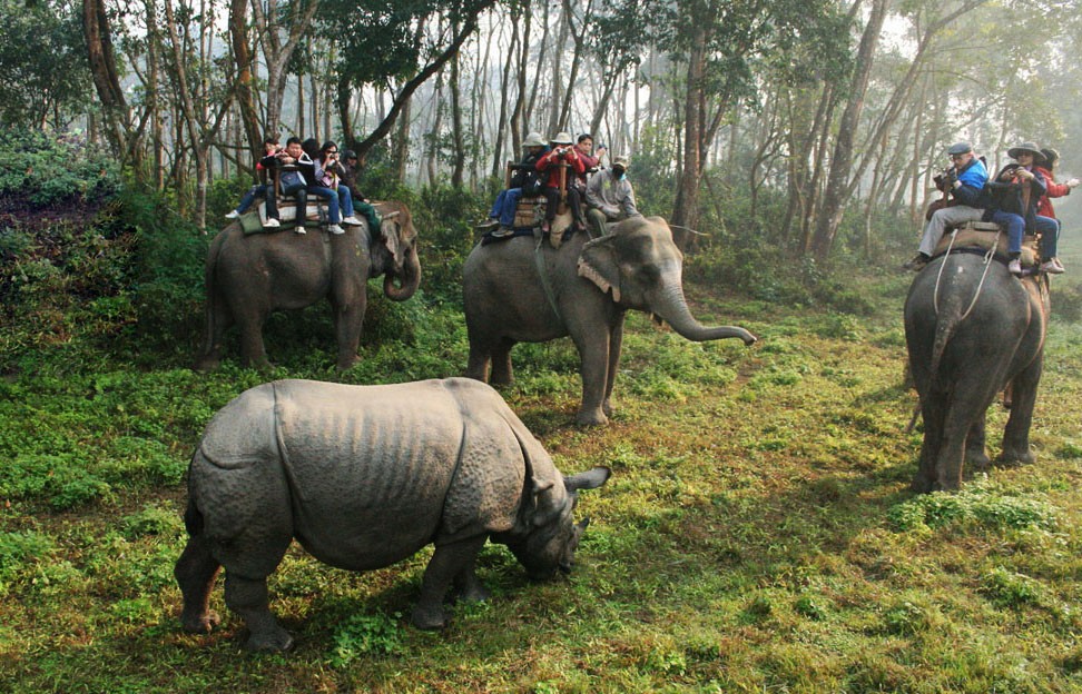 Mountains Hills & Wildlife Tours 7N  / 8D